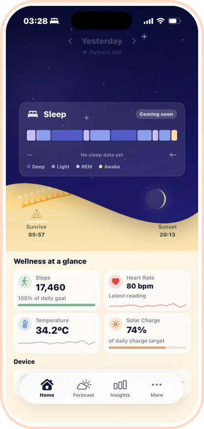 Ray companion app, sleep stages view