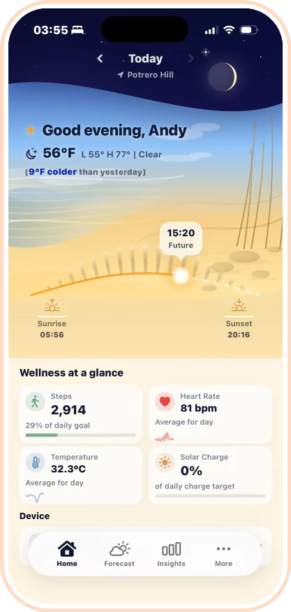 Ray companion app, today view with wellness at a glance